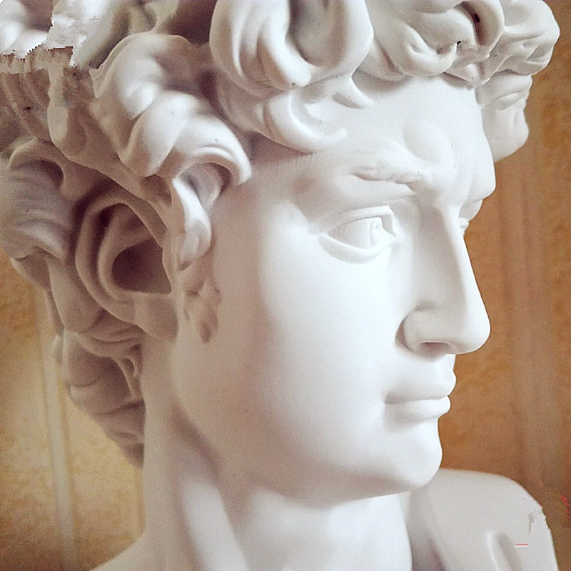David Head Michelangelo Statue